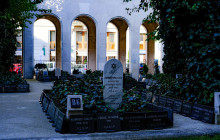 Guided Istanbul Tours345