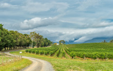 Wine Hop And Coastal Tours Pty Ltd1