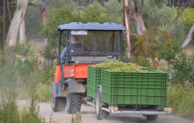 Wine Hop And Coastal Tours Pty Ltd6