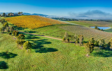 Wine Hop And Coastal Tours Pty Ltd8