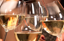 Wine Hop And Coastal Tours Pty Ltd5