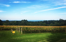 Wine Hop And Coastal Tours Pty Ltd7