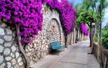 CityWonders - EUR14
