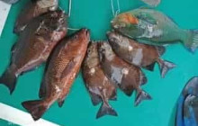 Friendly Travel Nha Trang4