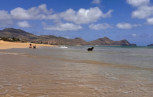 SeaYou Madeira15