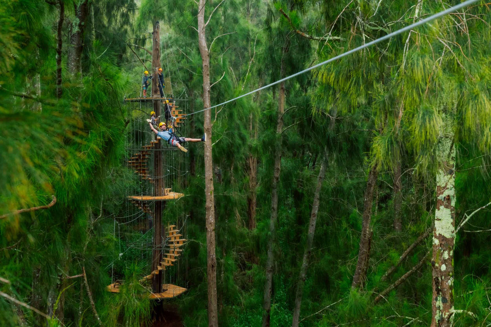 Kohala Canopy Adventure