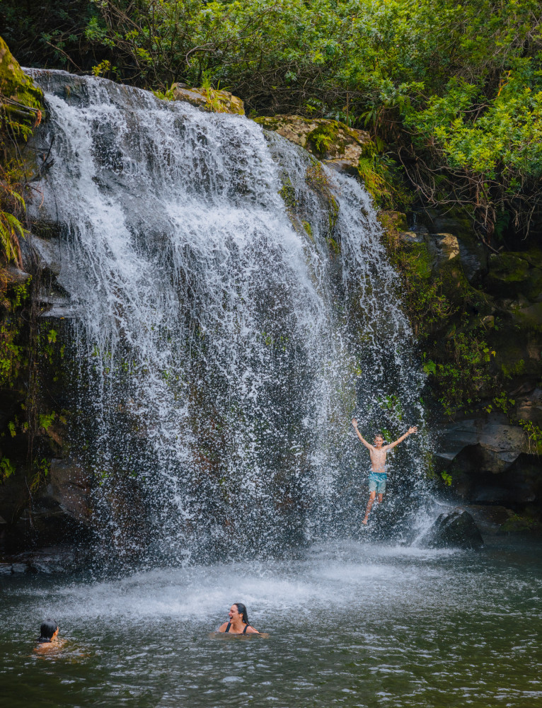 Kohala Zip & Dip