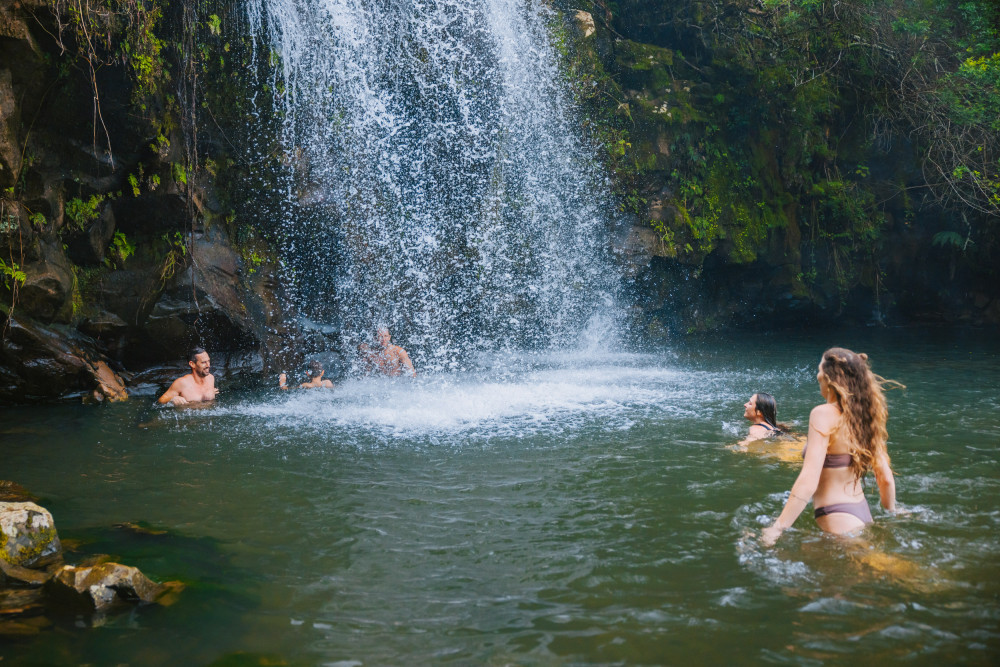Kohala Zipline