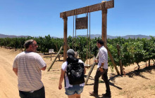The Wine Route7