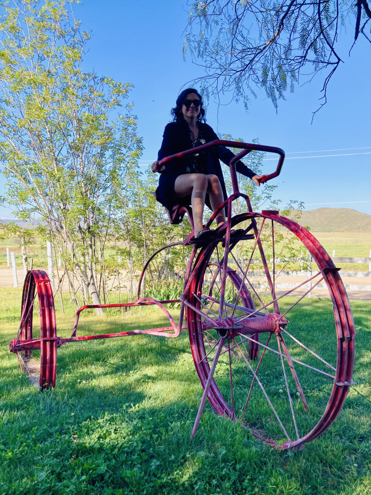 Ojos Negros Valley Wine and Cheese Route Tour in Baja California