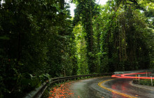 Hana Tours of Maui3