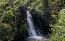 Hana Tours of Maui5