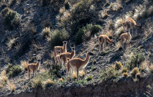 Destino Montaña3