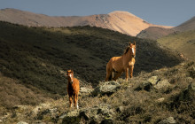 Destino Montaña12