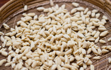 Escursì2