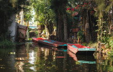 SAT Mexico tours and travel5