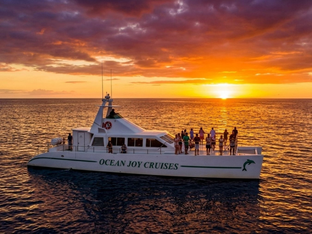 Luxurious Private Sunset Dolphin Watch & Snorkel Cruise w/ Dinner & Drinks