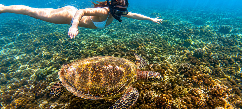 Private Blue Lagoon & Tanjung Jepun Snorkeling Adventure,country Indonesia