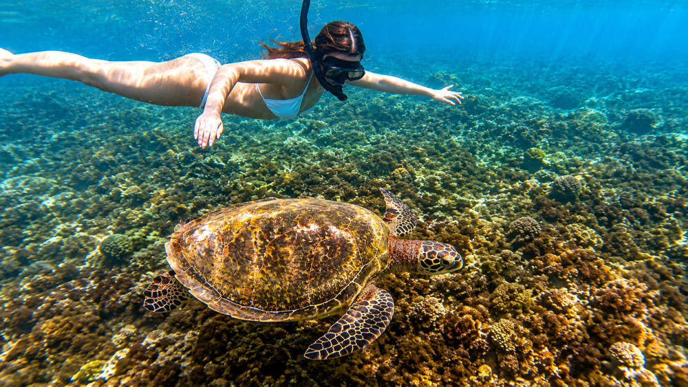 Private Blue Lagoon & Tanjung Jepun Snorkeling Adventure