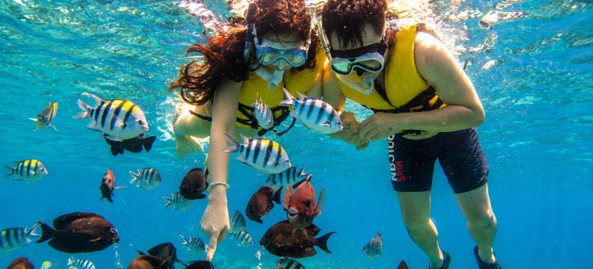 Private Blue Lagoon & Tanjung Jepun Snorkeling Adventure,country Indonesia