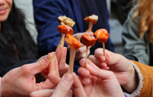 Eating Europe Food Tours - Amsterdam5