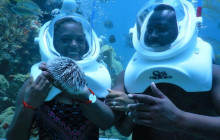 Rainforest Adventures St Lucia11
