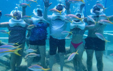 Rainforest Adventures St Lucia1