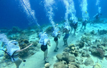 Rainforest Adventures St Lucia12