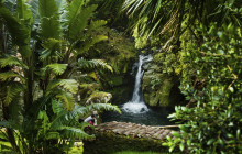 Pure Azores Unipessoal Lda11