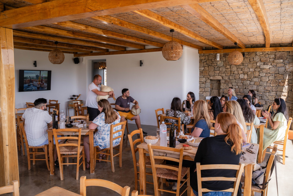 Authentic Traditional Tour and Wine Tasting in Mykonian Land