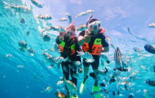 Friendly Travel Nha Trang Co.,Ltd3