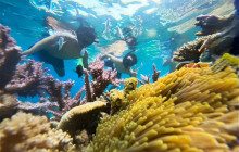 Friendly Travel Nha Trang Co.,Ltd4