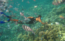 Friendly Travel Nha Trang Co.,Ltd8