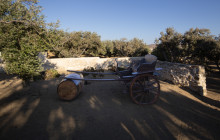 Tour in Mykonian Land11