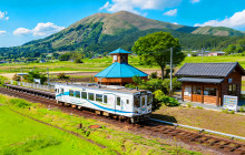 Tuyi Group Japan Co., Ltd.12
