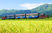 Tuyi Group Japan Co., Ltd.13