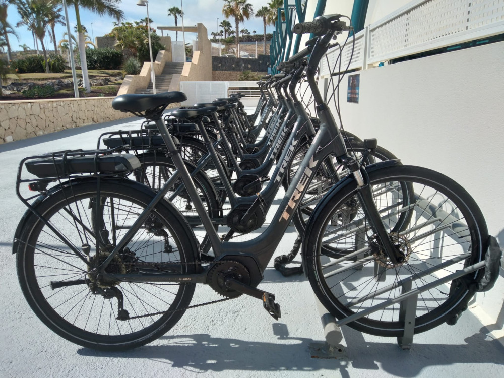 Bosch Electric City Bike Rent