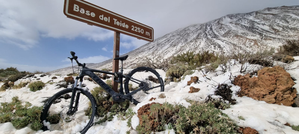 Bosch Electric Mountain Bike Rent