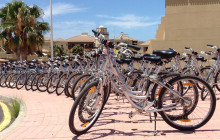 Bike Rent Tenerife1
