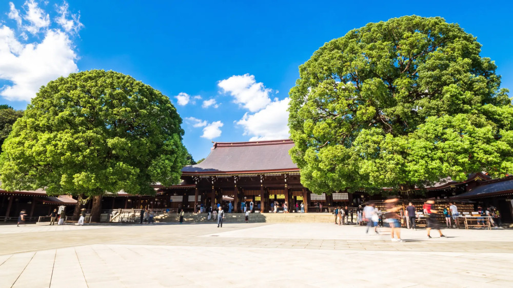 Special Shore Excursions Tour Explore Tokyo City From Cruise Port