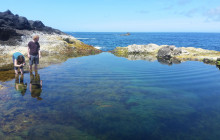 Pure Azores Unipessoal Lda4