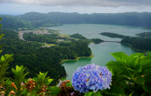Pure Azores Unipessoal Lda7