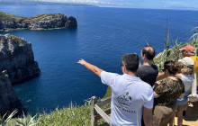 Pure Azores Unipessoal Lda14
