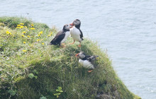 Iceland Paradise Tours9