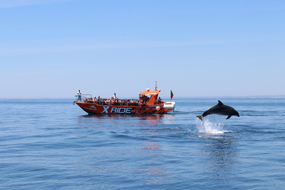 Vilamoura: Dolphins & Benagil Caves - Cruise