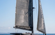 The VI Cat, LLC. 5