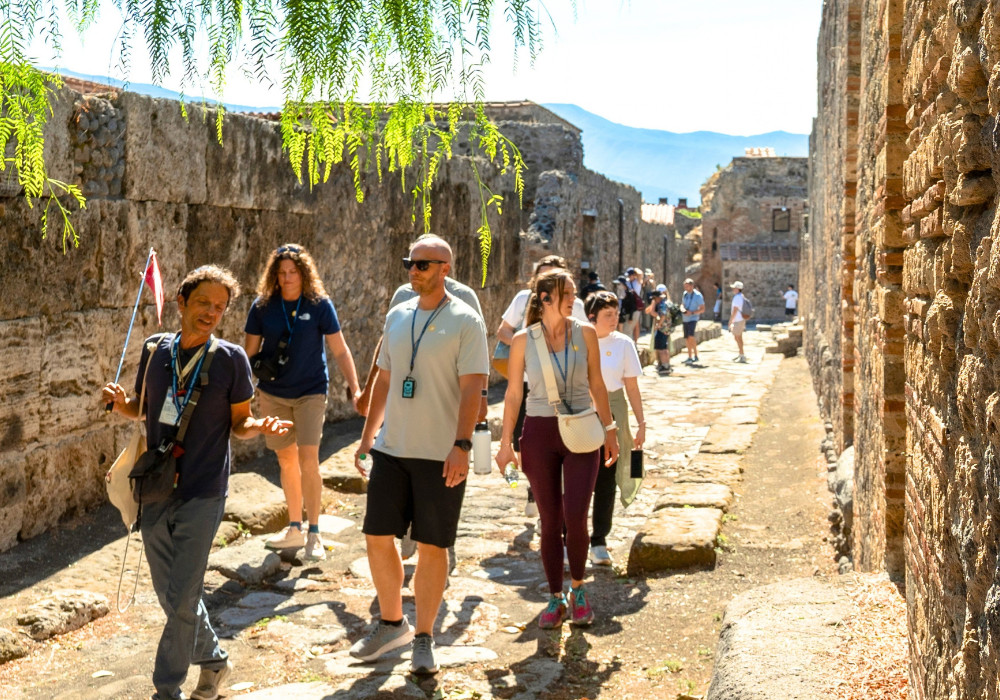 From Rome: Pompeii Ruins and Mt. Vesuvius Crater Guided Hike with Lunch