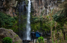 Pure Azores Unipessoal Lda10