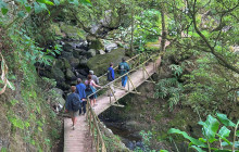 Pure Azores Unipessoal Lda14