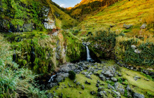 Pure Azores Unipessoal Lda15